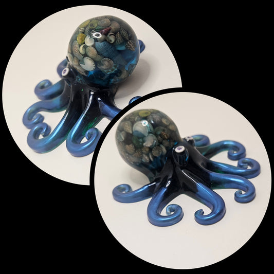 Octopus