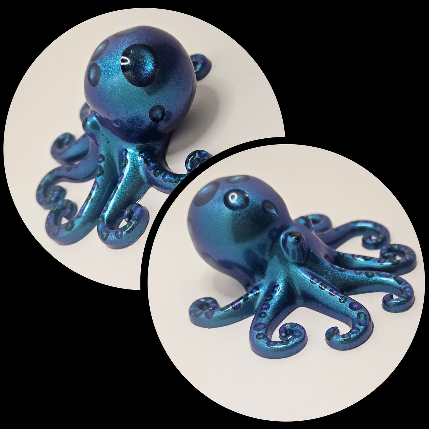 Octopus