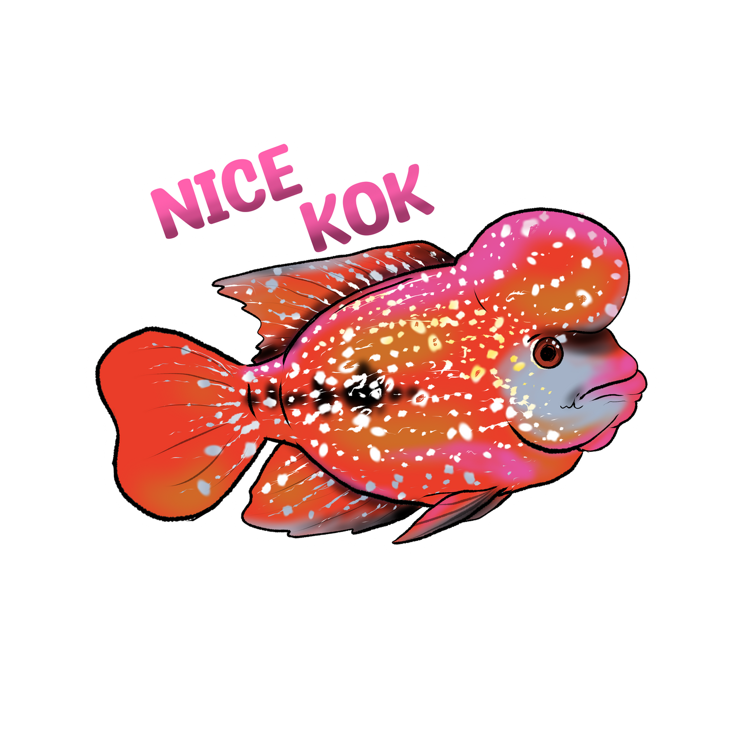 Nice Kok Fish