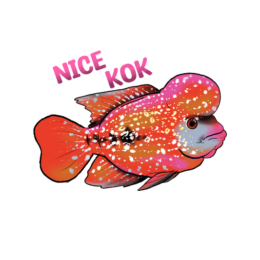 Nice Kok Fish